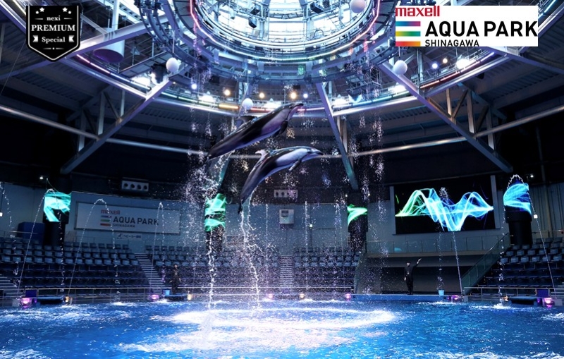 aqua-park