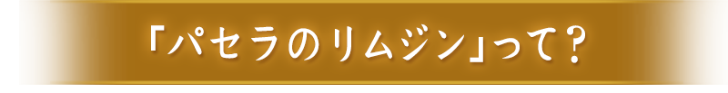 「パセラのリムジン」って?
